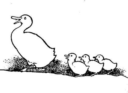 http://mail.wbrands.com/uploads/images/illustrations/the_duck_and_her_ducklingsx420.jpg